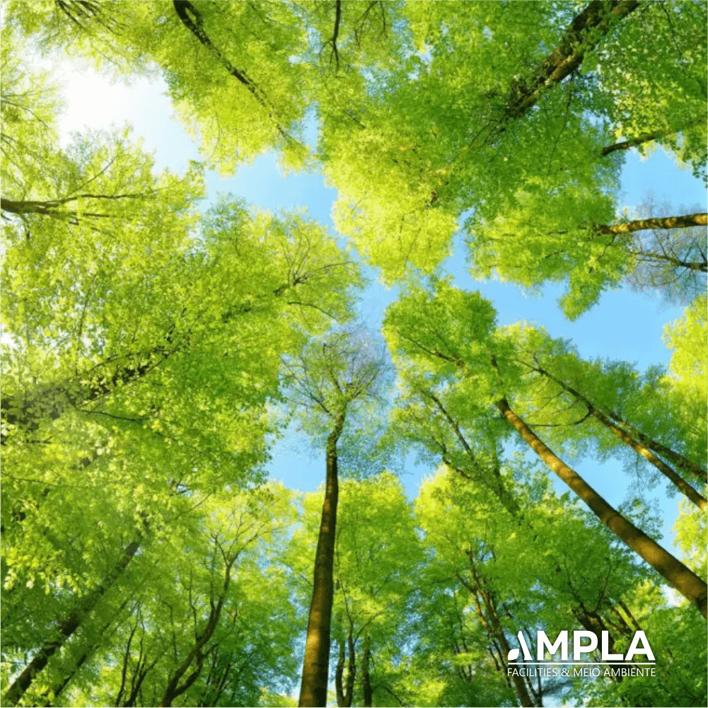 Meio Ambiente - Ampla Facilities